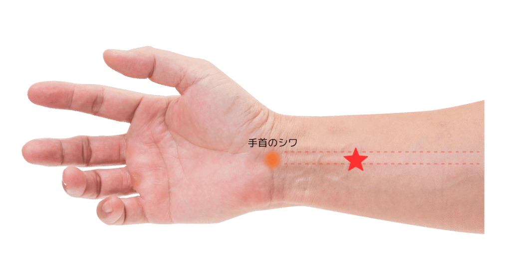 【内関】ストレス・吐き気・自律神経の乱れにオススメのツボ – RIKO ROOM